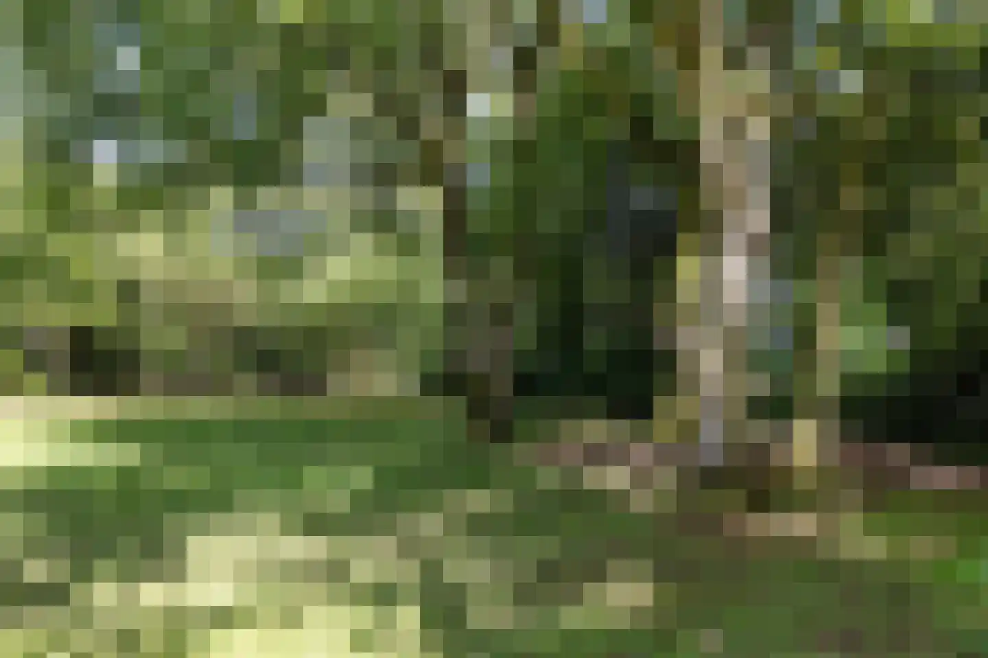 Langgrafweg 1 Emmen thumbnail 30