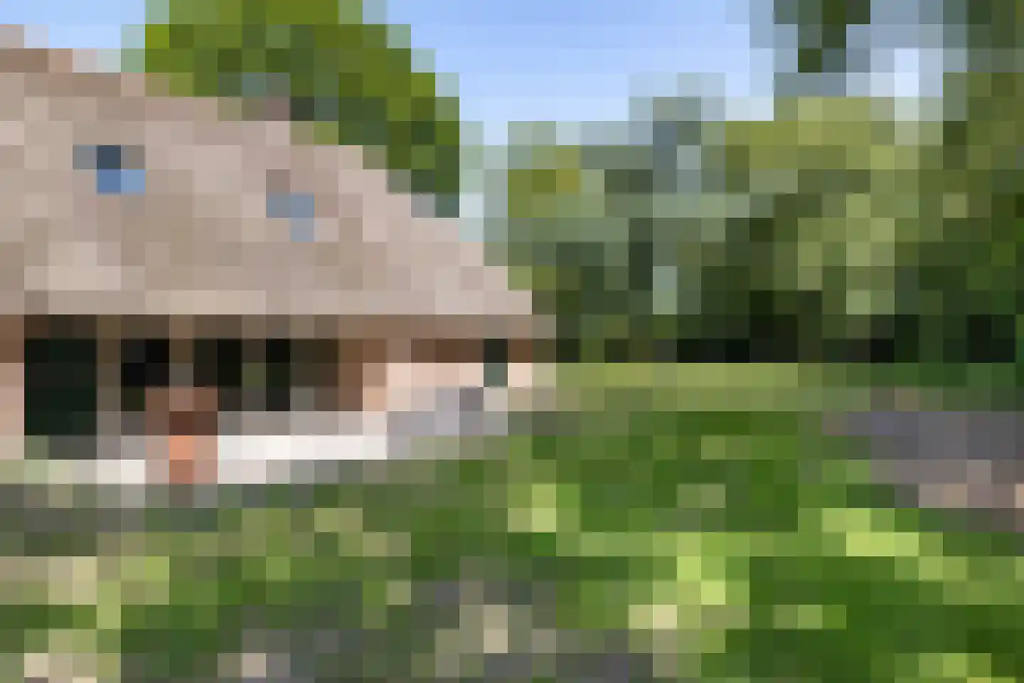 Langgrafweg 1 Emmen thumbnail 31