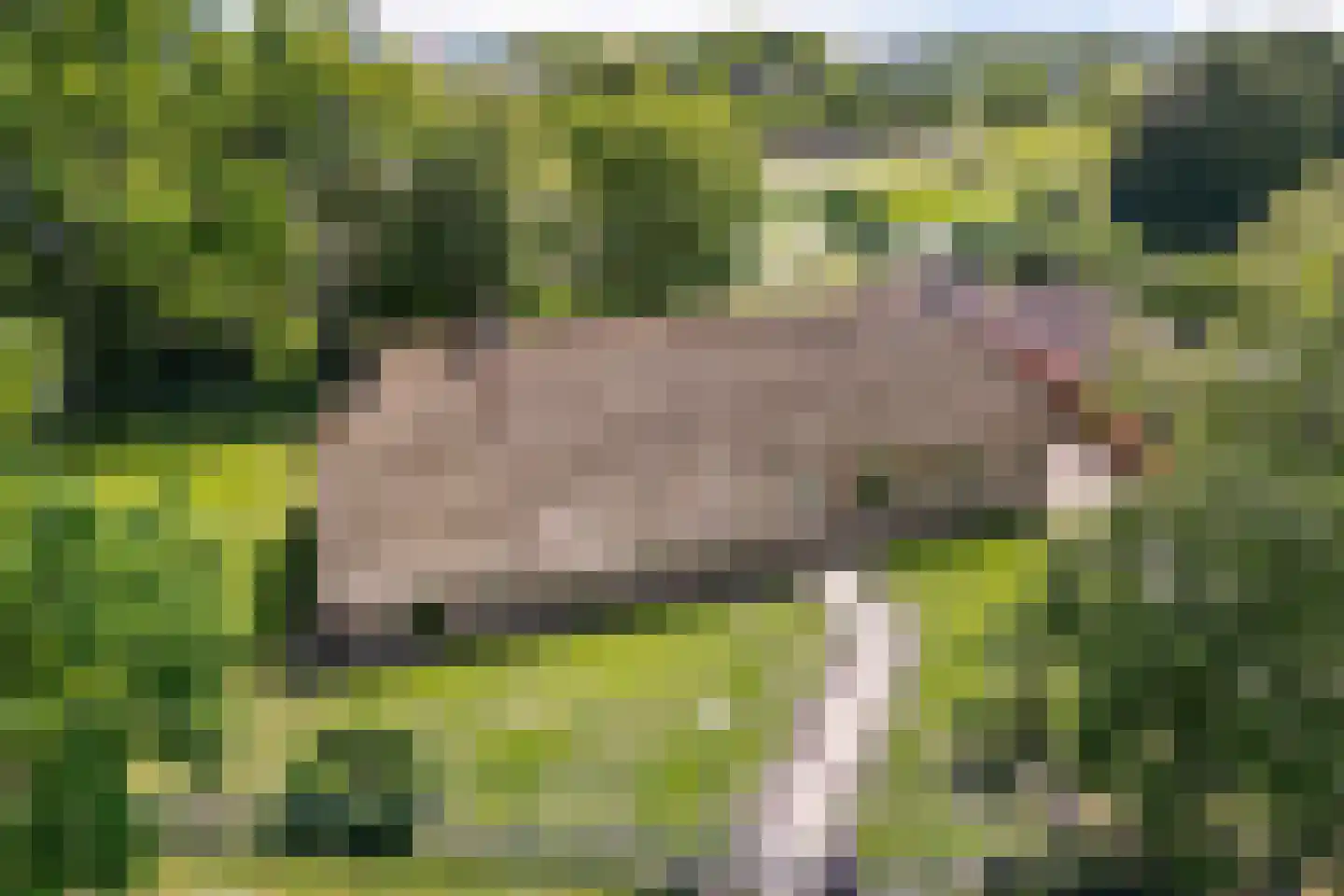 Langgrafweg 1 Emmen thumbnail 34