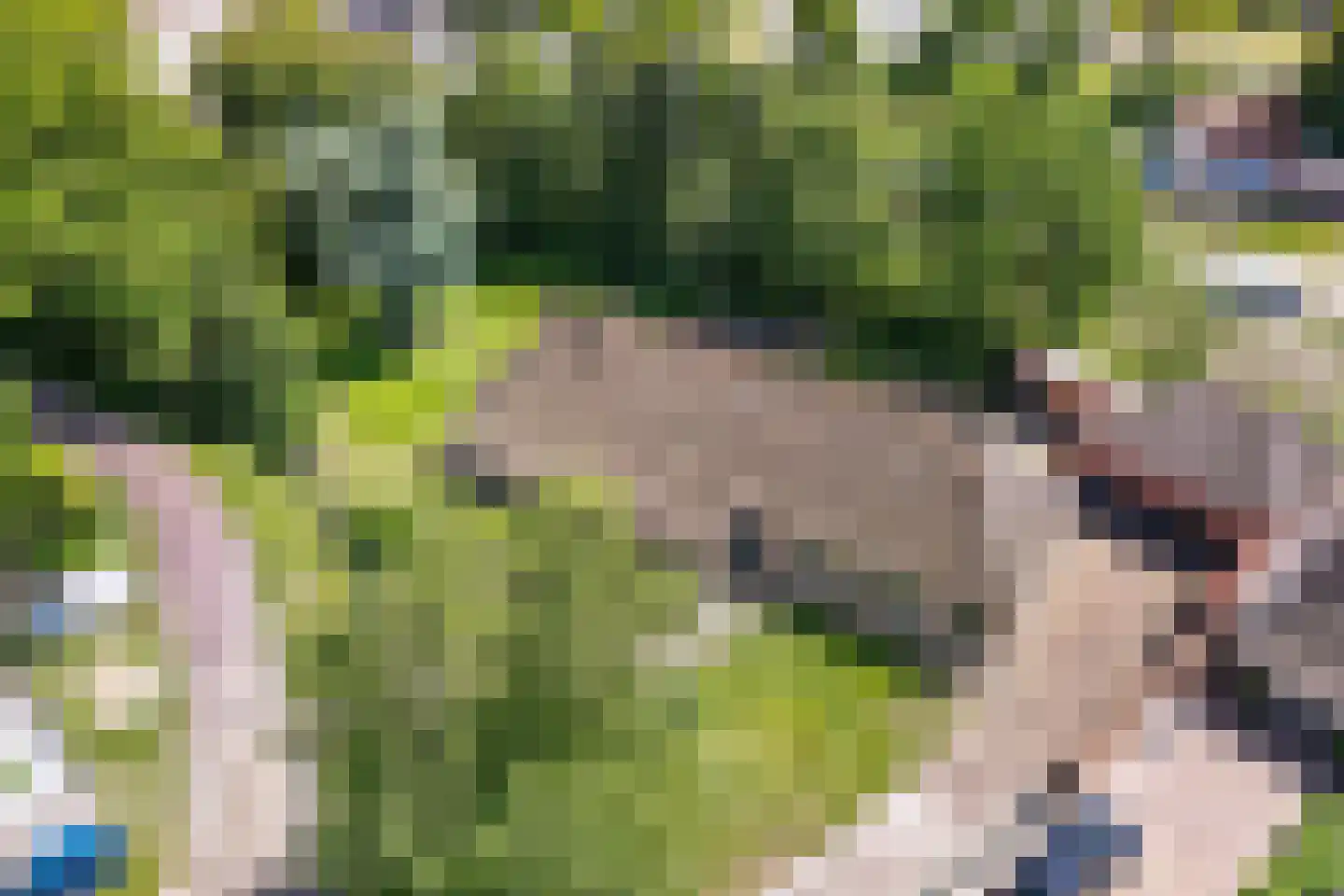 Langgrafweg 1 Emmen thumbnail 35
