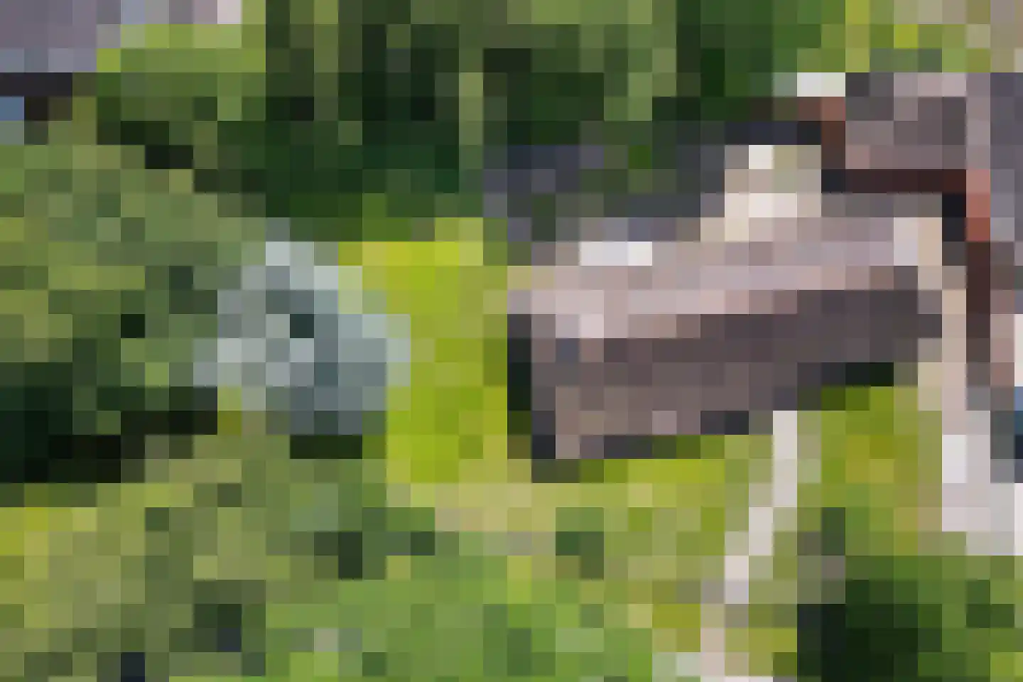 Langgrafweg 1 Emmen thumbnail 36