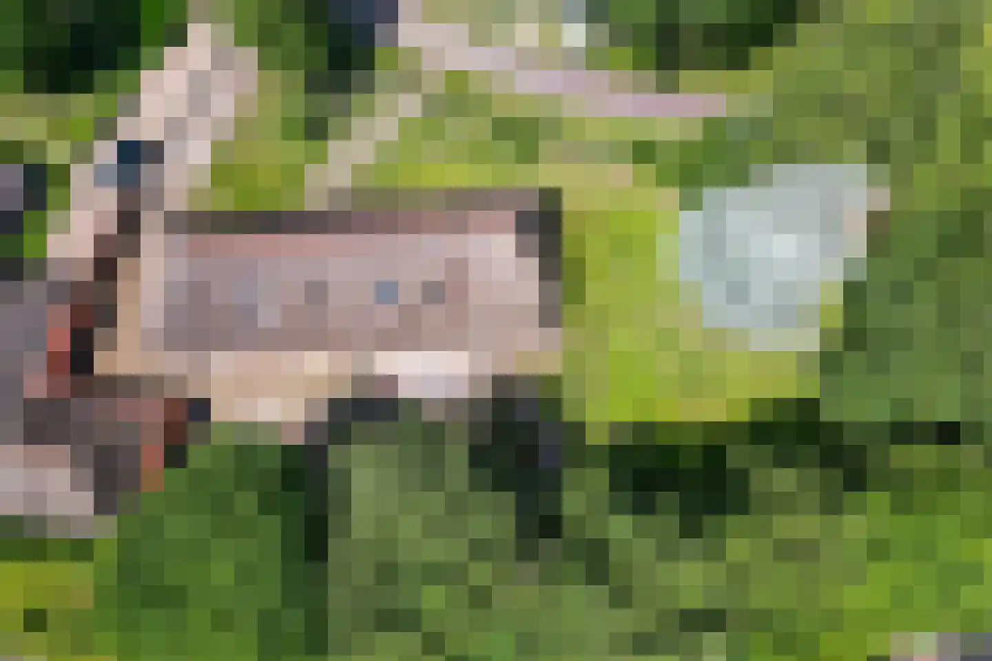 Langgrafweg 1 Emmen thumbnail 37