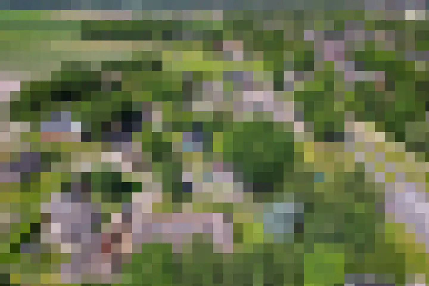 Langgrafweg 1 Emmen thumbnail 38