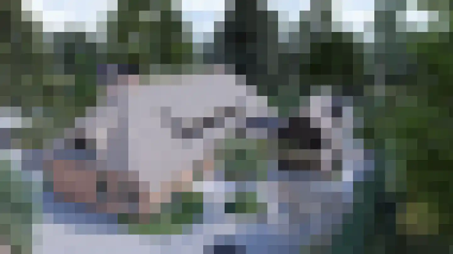 Langgrafweg 1 Emmen thumbnail 41