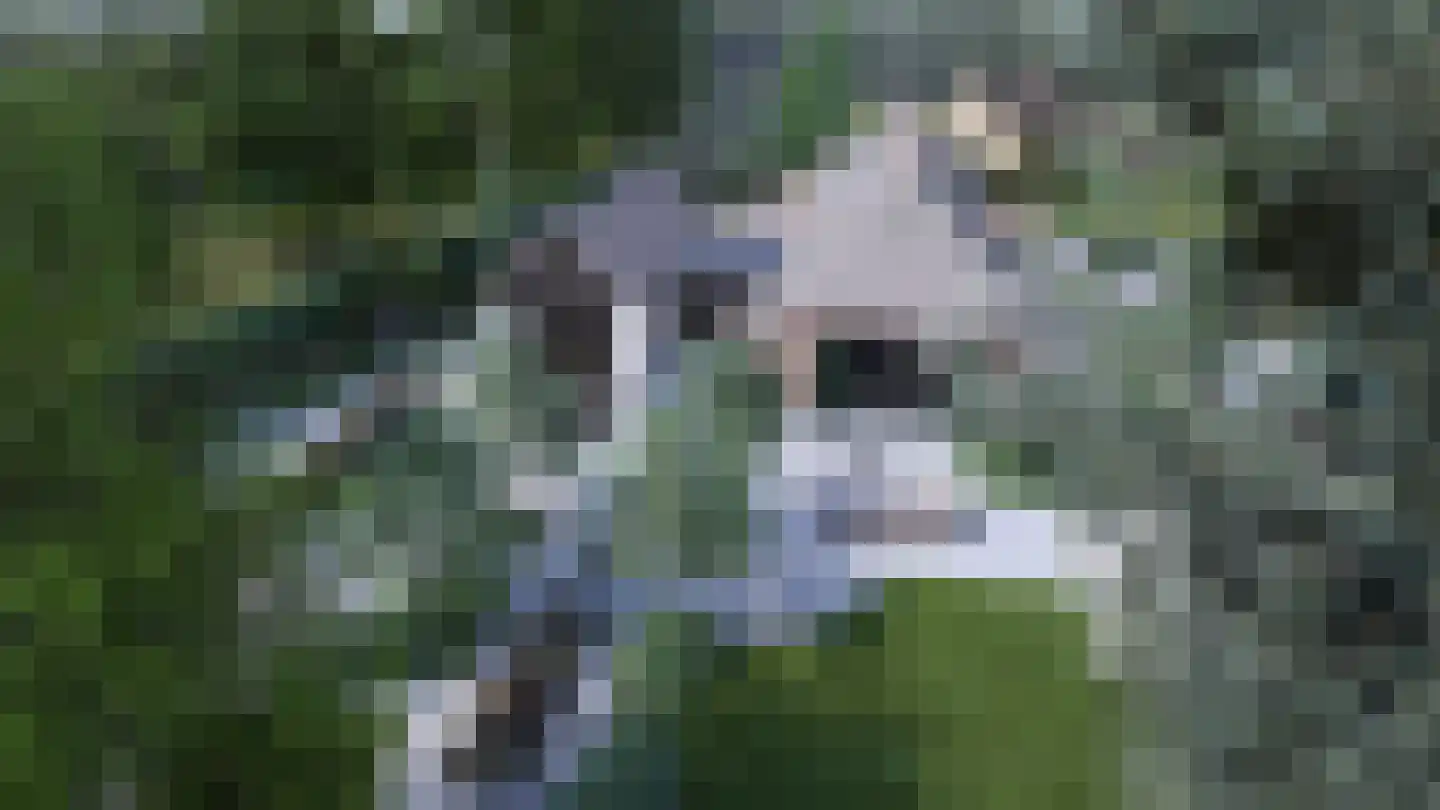 Langgrafweg 1 Emmen thumbnail 43