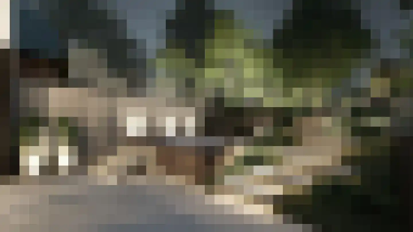 Langgrafweg 1 Emmen thumbnail 45