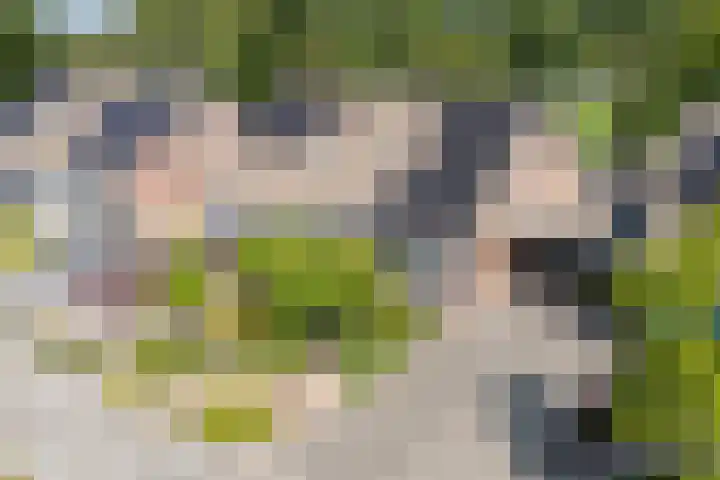 Langgrousterwei 42 Easternijtsjerk