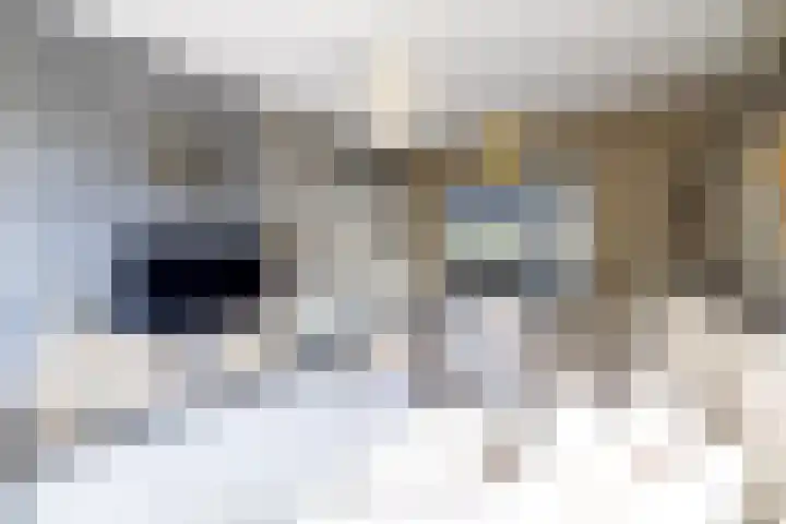 Langgrousterwei 42 Easternijtsjerk thumbnail 11