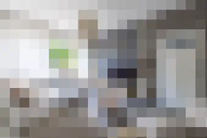 Langgrousterwei 42 Easternijtsjerk thumbnail 12