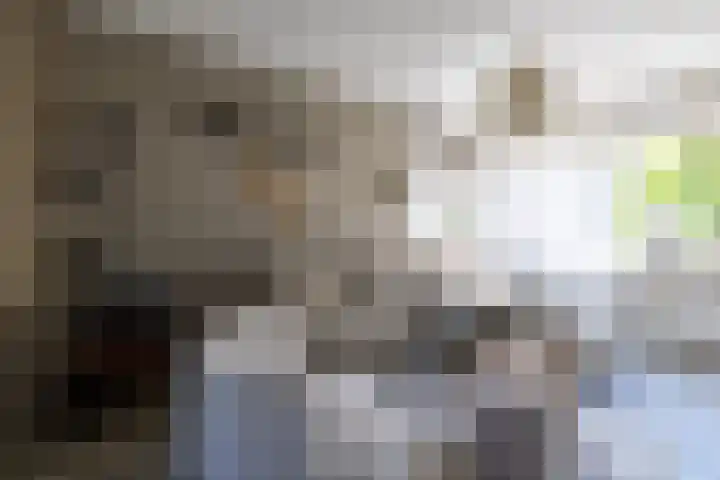 Langgrousterwei 42 Easternijtsjerk thumbnail 13