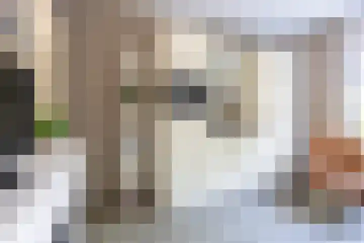 Langgrousterwei 42 Easternijtsjerk thumbnail 16