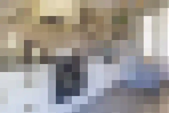 Langgrousterwei 42 Easternijtsjerk thumbnail 20
