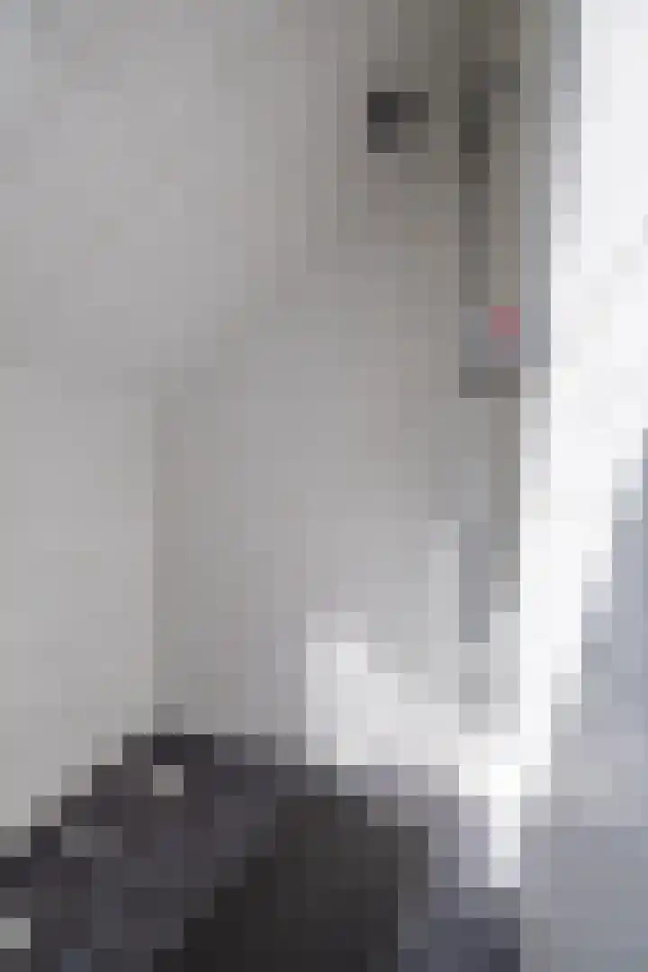 Langgrousterwei 42 Easternijtsjerk thumbnail 38