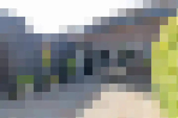Langgrousterwei 42 Easternijtsjerk thumbnail 39