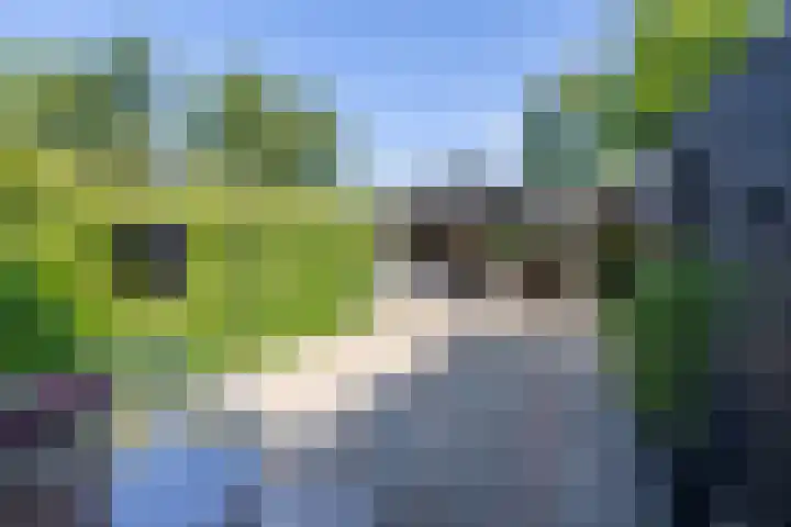 Langgrousterwei 42 Easternijtsjerk thumbnail 40