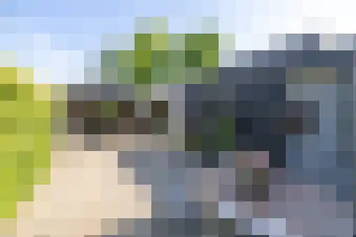 Langgrousterwei 42 Easternijtsjerk thumbnail 41