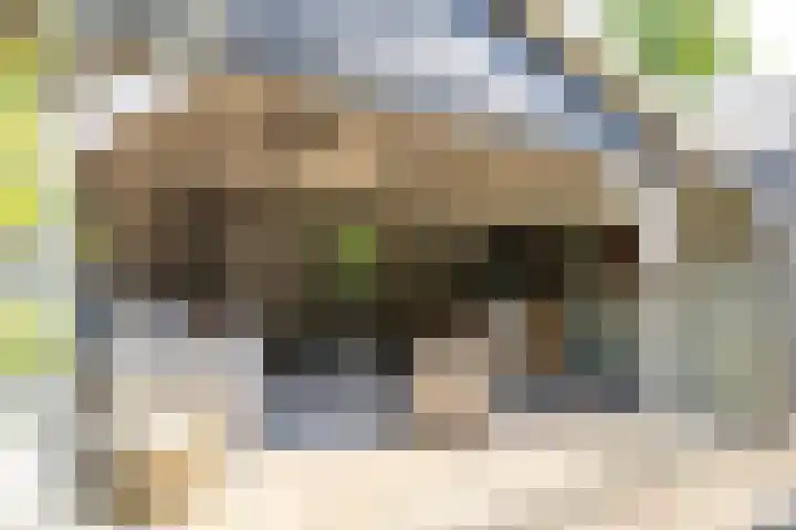 Langgrousterwei 42 Easternijtsjerk thumbnail 42