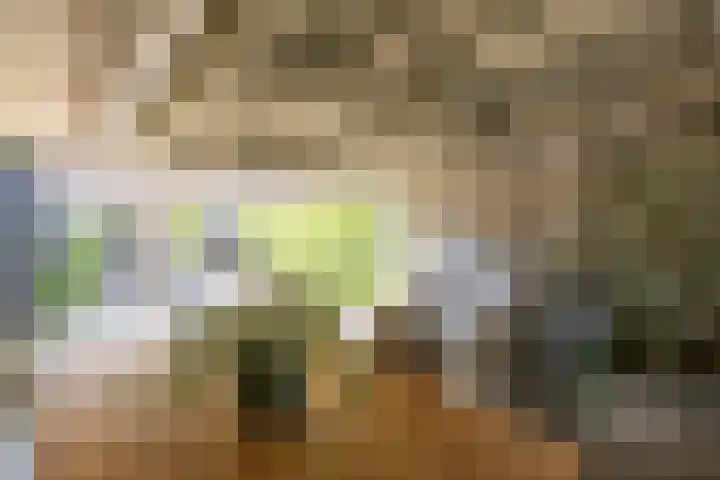 Langgrousterwei 42 Easternijtsjerk thumbnail 43