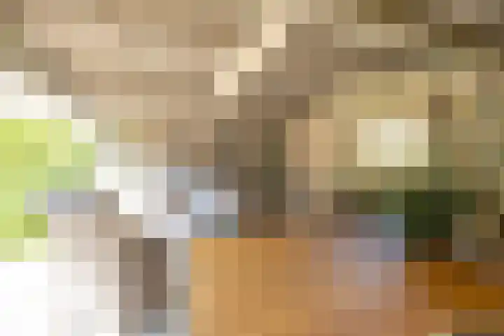 Langgrousterwei 42 Easternijtsjerk thumbnail 44