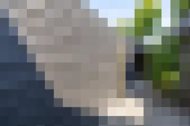 Langgrousterwei 42 Easternijtsjerk thumbnail 45