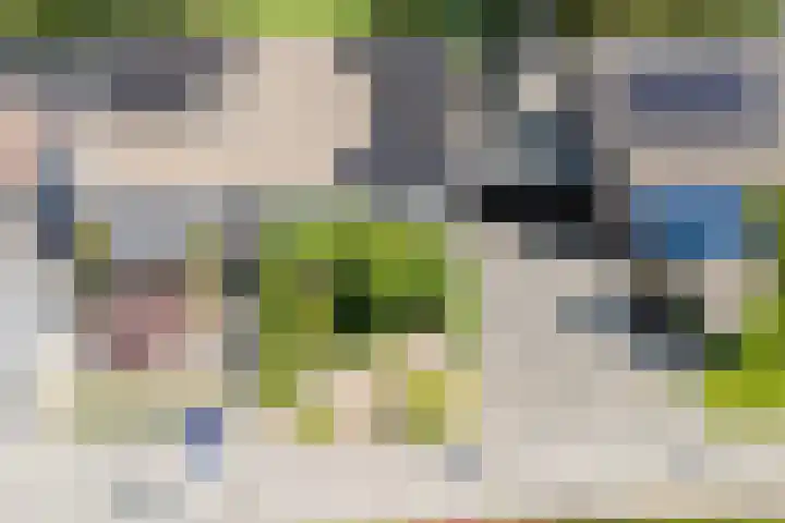 Langgrousterwei 42 Easternijtsjerk thumbnail 48