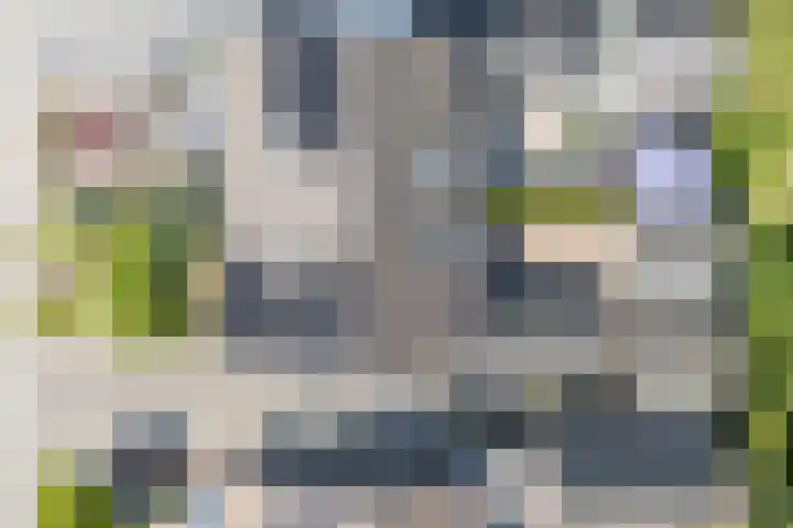 Langgrousterwei 42 Easternijtsjerk thumbnail 49