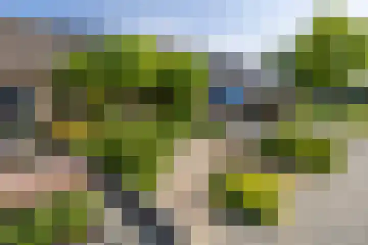 Langgrousterwei 42 Easternijtsjerk thumbnail 5