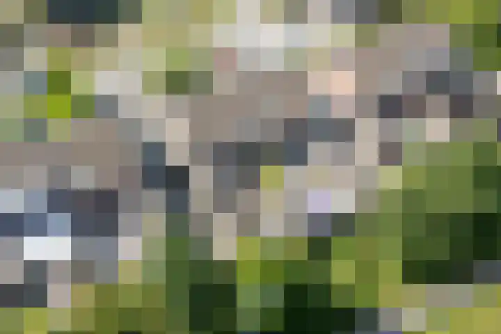 Langgrousterwei 42 Easternijtsjerk thumbnail 50