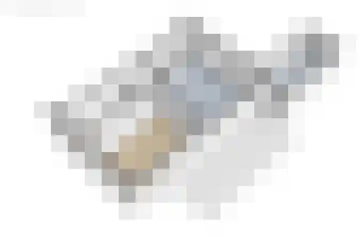Langgrousterwei 42 Easternijtsjerk thumbnail 55