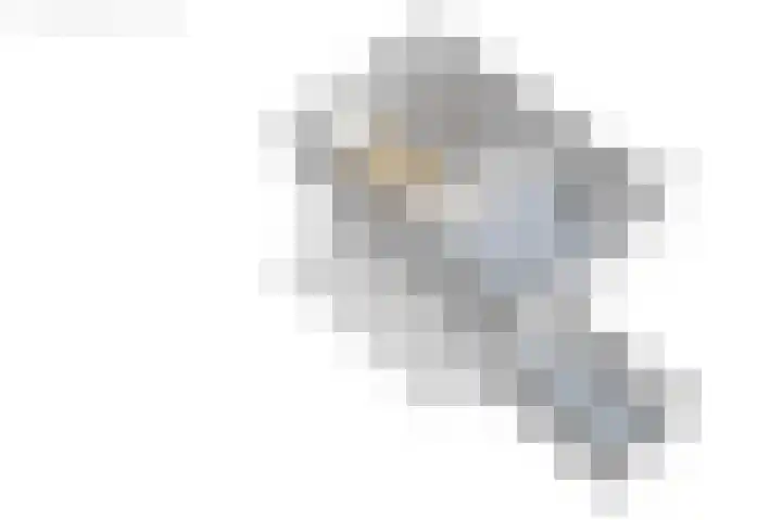 Langgrousterwei 42 Easternijtsjerk thumbnail 56