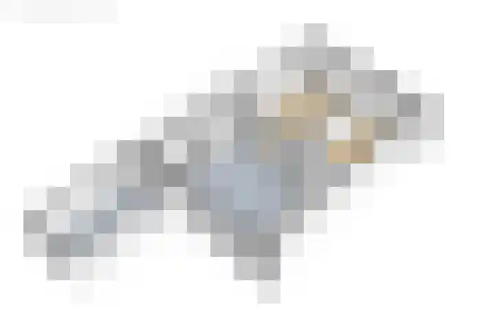 Langgrousterwei 42 Easternijtsjerk thumbnail 57