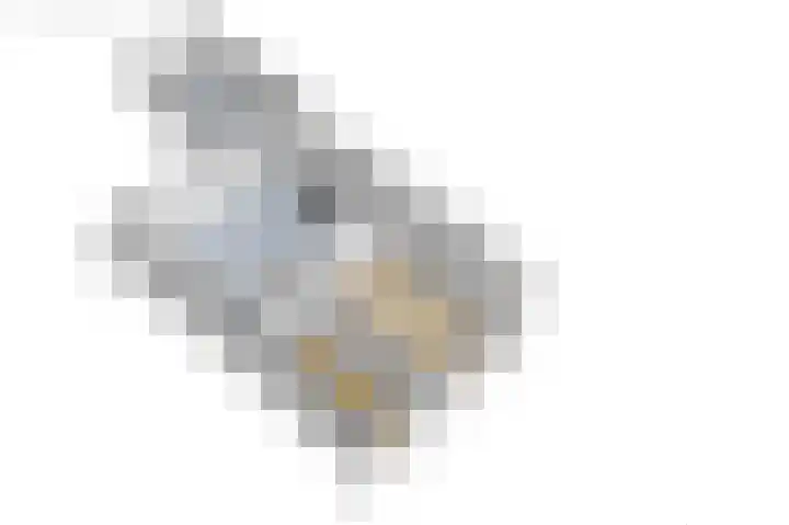 Langgrousterwei 42 Easternijtsjerk thumbnail 58