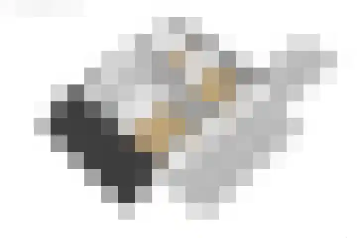Langgrousterwei 42 Easternijtsjerk thumbnail 62