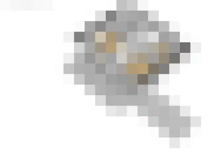Langgrousterwei 42 Easternijtsjerk thumbnail 63
