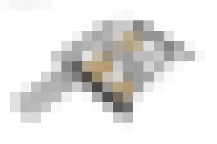 Langgrousterwei 42 Easternijtsjerk thumbnail 64