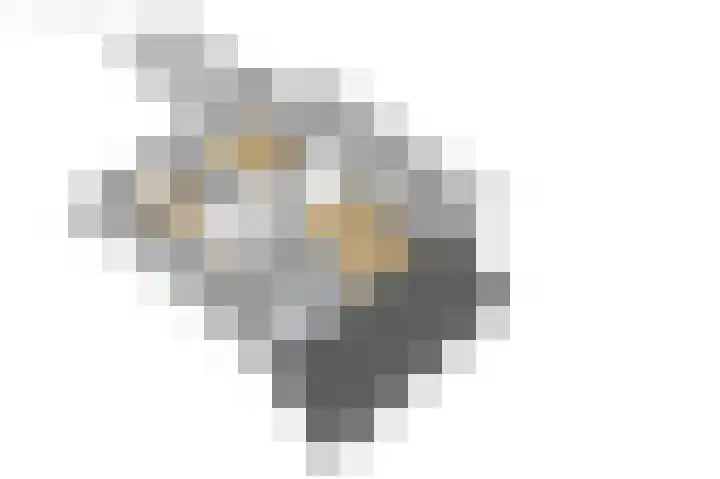 Langgrousterwei 42 Easternijtsjerk thumbnail 65