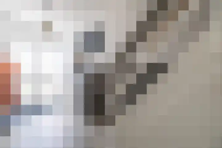 Langgrousterwei 42 Easternijtsjerk thumbnail 7