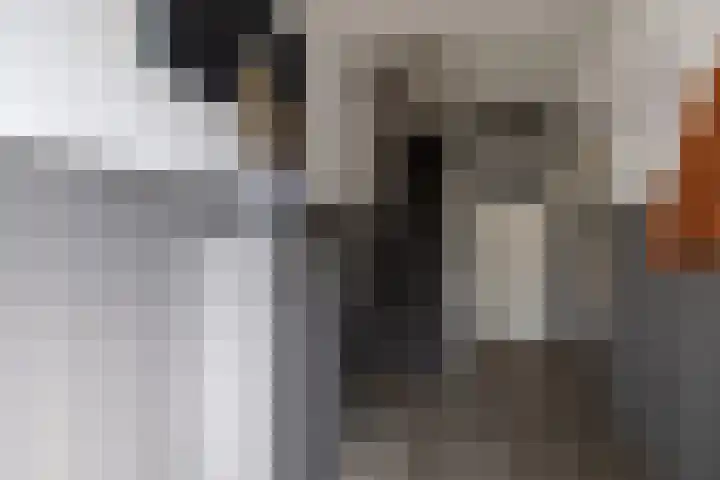 Langgrousterwei 42 Easternijtsjerk thumbnail 8