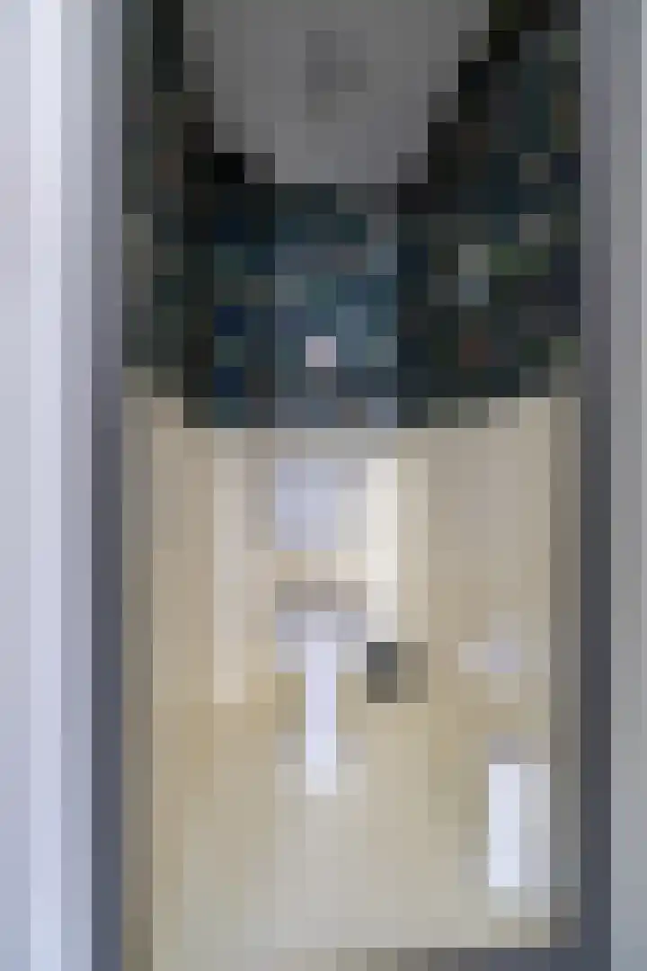 Langgrousterwei 42 Easternijtsjerk thumbnail 9