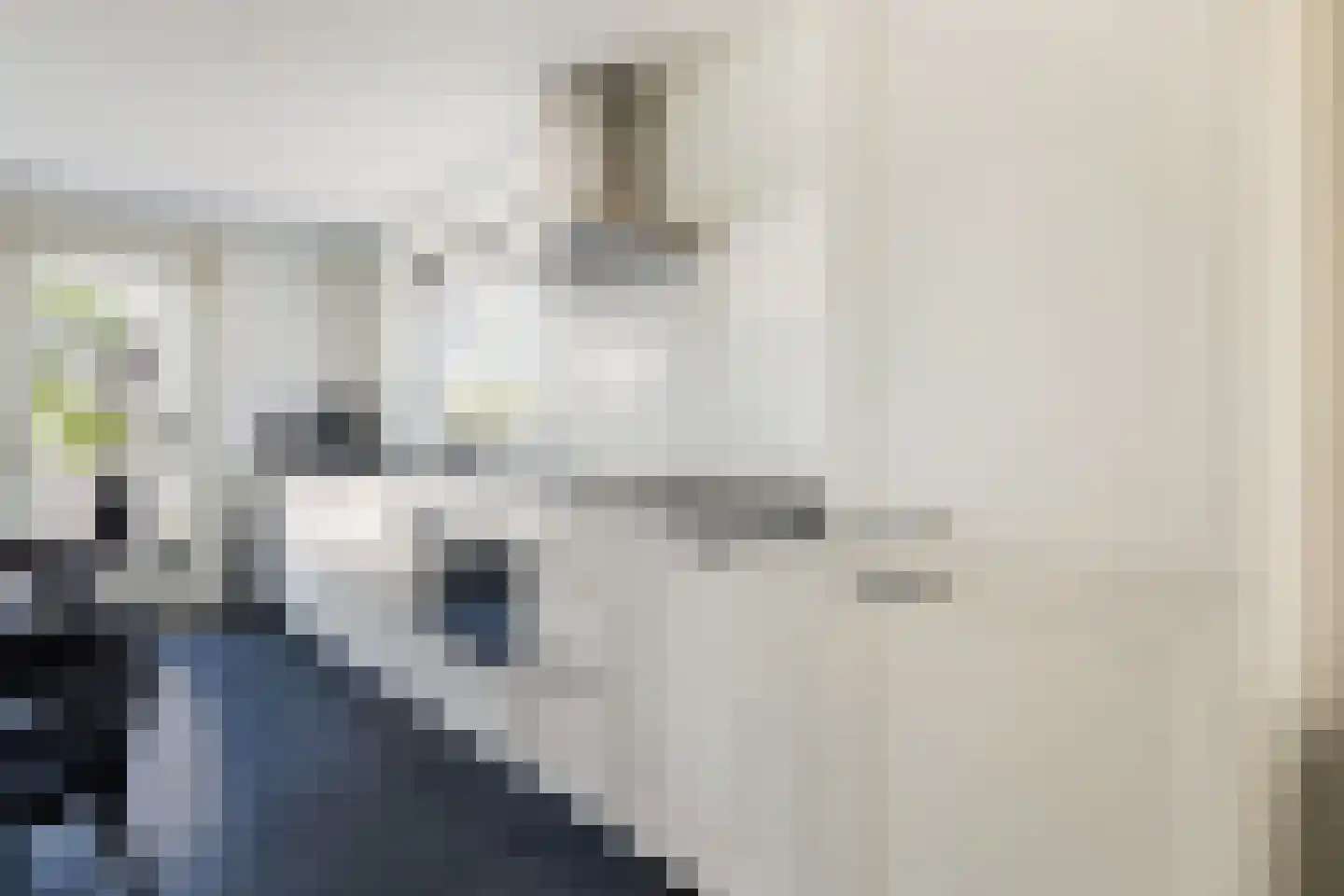 Langgrousterwei 48 Easternijtsjerk thumbnail 25