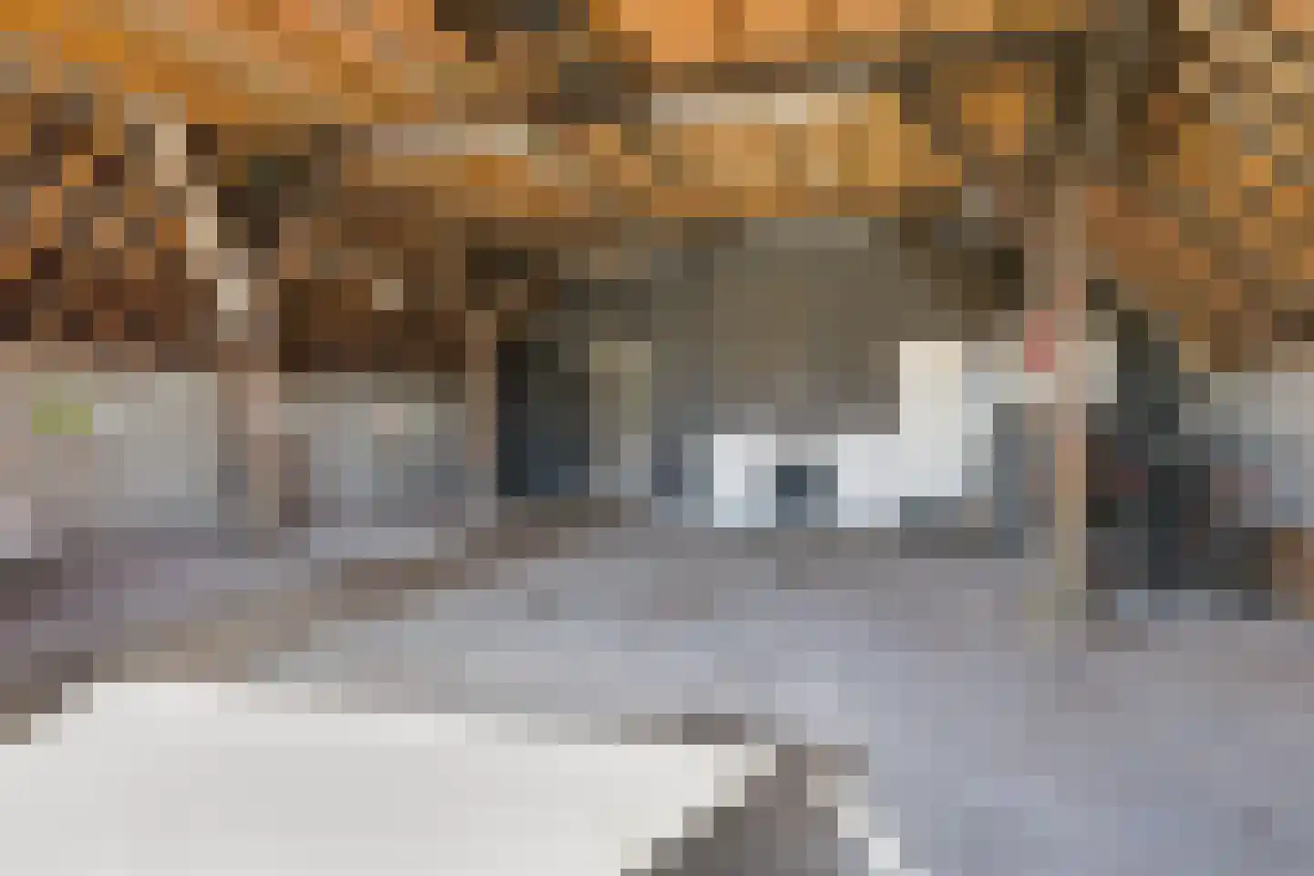 Langgrousterwei 48 Easternijtsjerk thumbnail 38