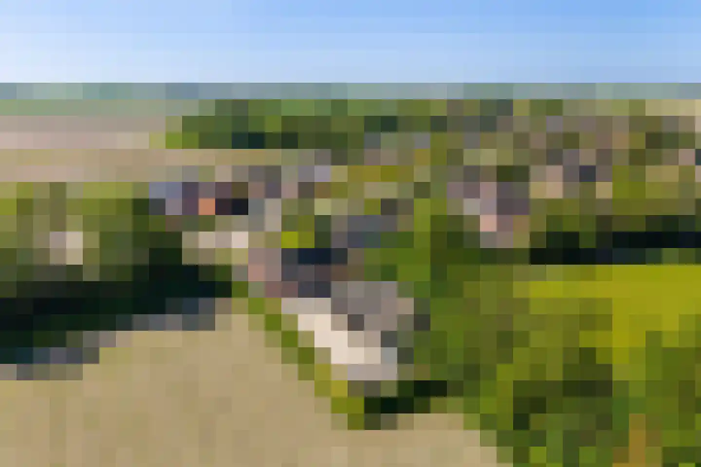 Langgrousterwei 48 Easternijtsjerk thumbnail 4