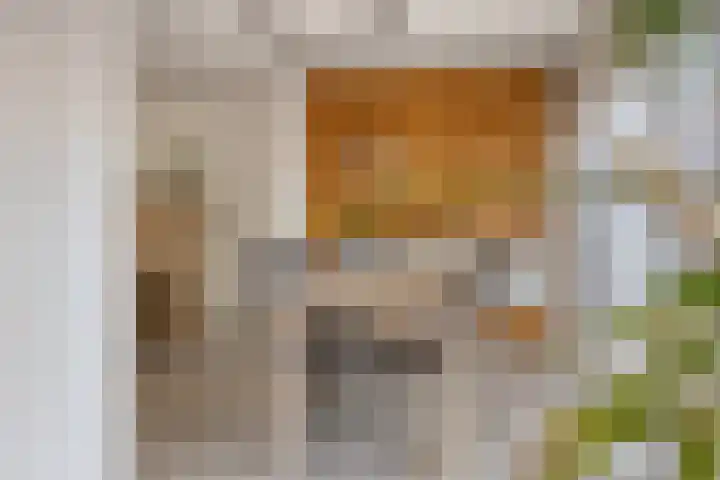 Langhaagweg 12 Stein thumbnail 20