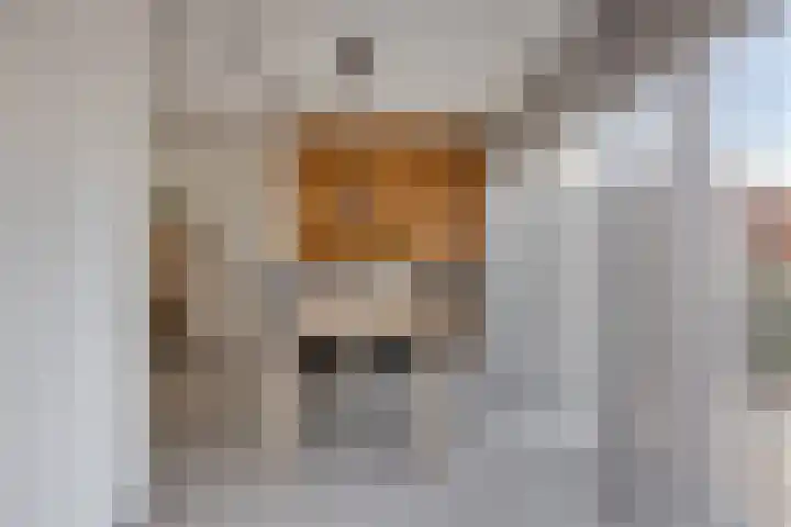Langhaagweg 12 Stein thumbnail 21