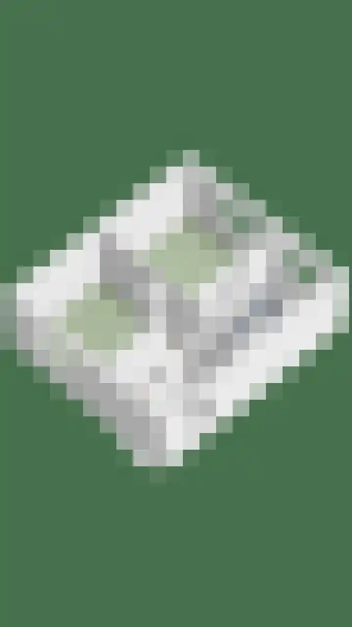 Langhaagweg 12 Stein thumbnail 47