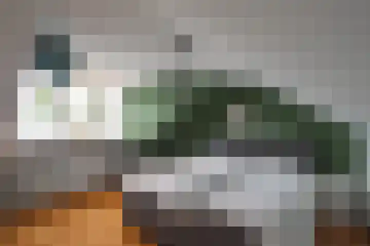 Langhaagweg 49 Stein thumbnail 19