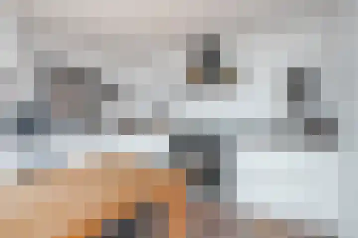 Langhaagweg 49 Stein thumbnail 7