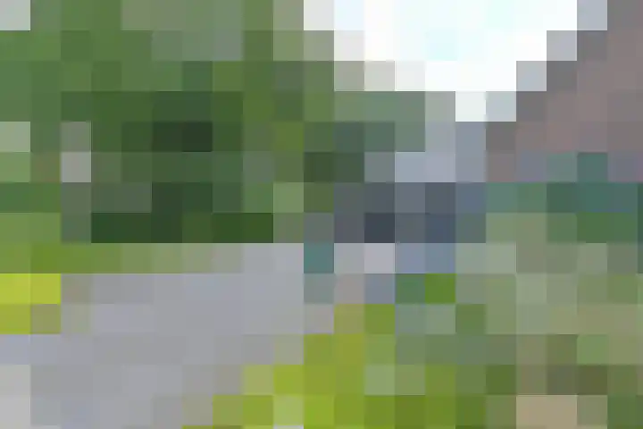 Langhieten 1 Odoorn thumbnail 10