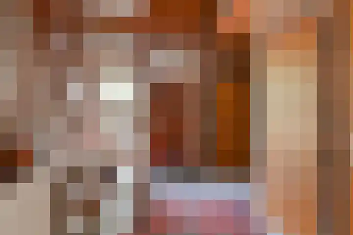 Langhieten 1 Odoorn thumbnail 13