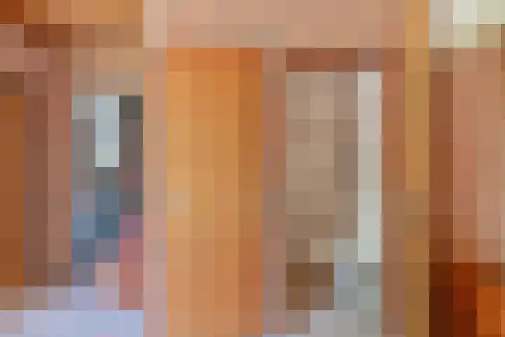 Langhieten 1 Odoorn thumbnail 14